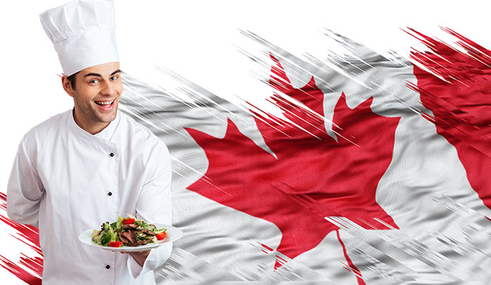  همه چیز درباره شرایط کار آشپزی در کانادا